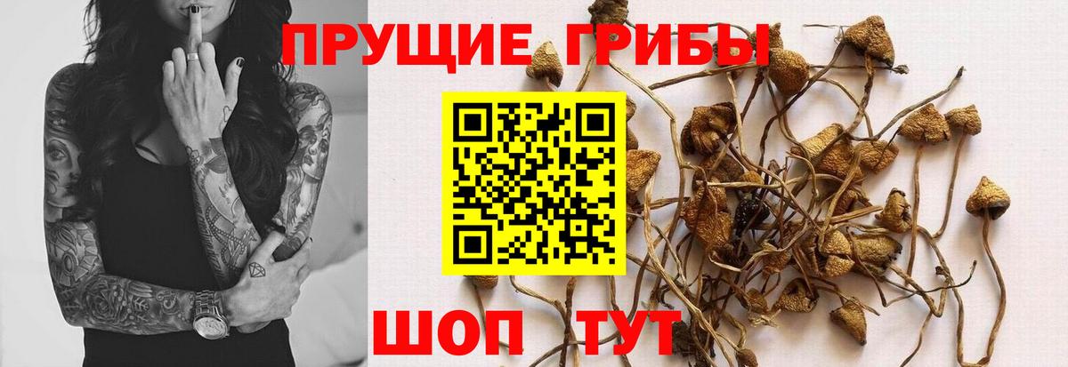 Галлюциногенные грибы MAGIC MUSHROOMS Самара